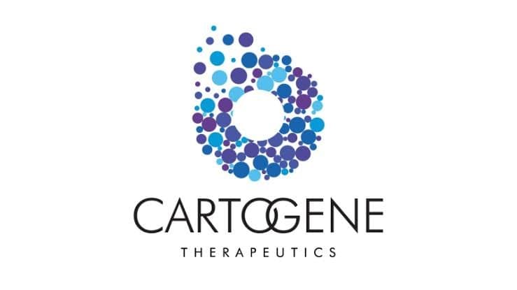 Brand logo 2